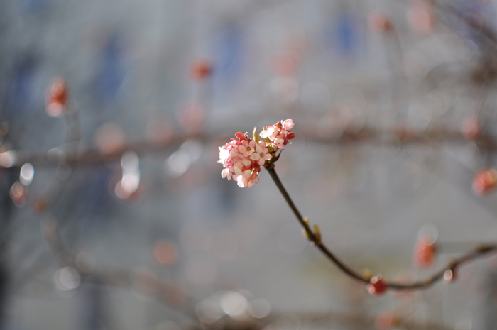 _DSC0200