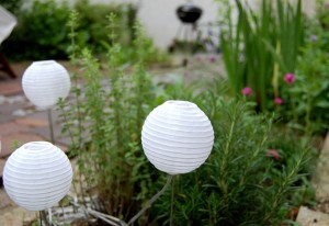 Wohn-Details: Sommer im Garten