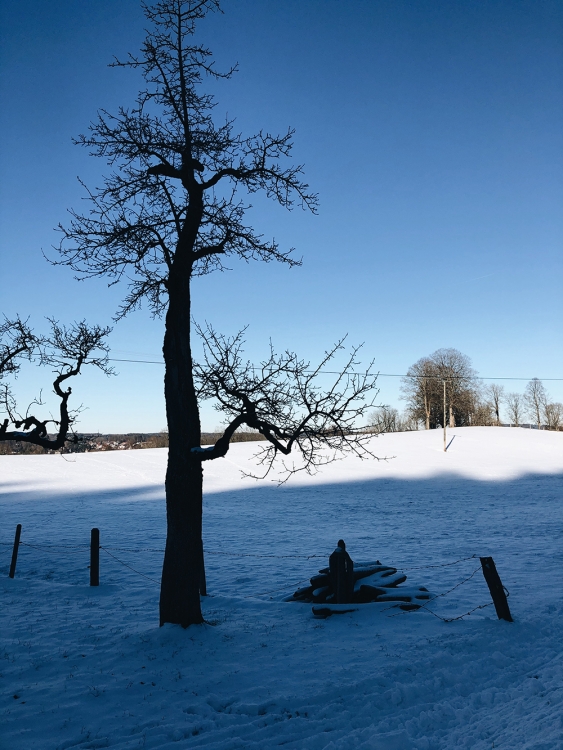 Tegernseer Höhenweg