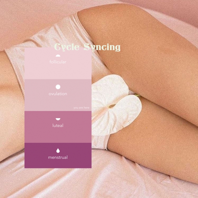 Cycle Syncing mit Alisa Vitti