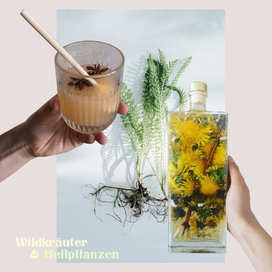 Wildkräuter und Heilpflanzen
