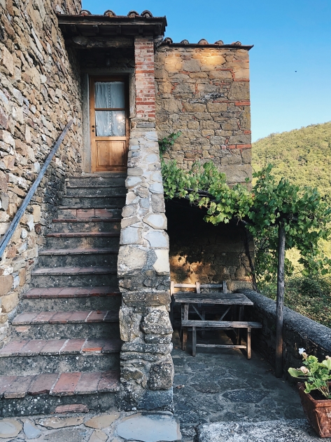 Fattoria la Vialla
