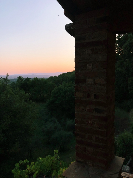 Fattoria la Vialla