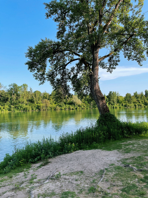 Poschinger Weiher