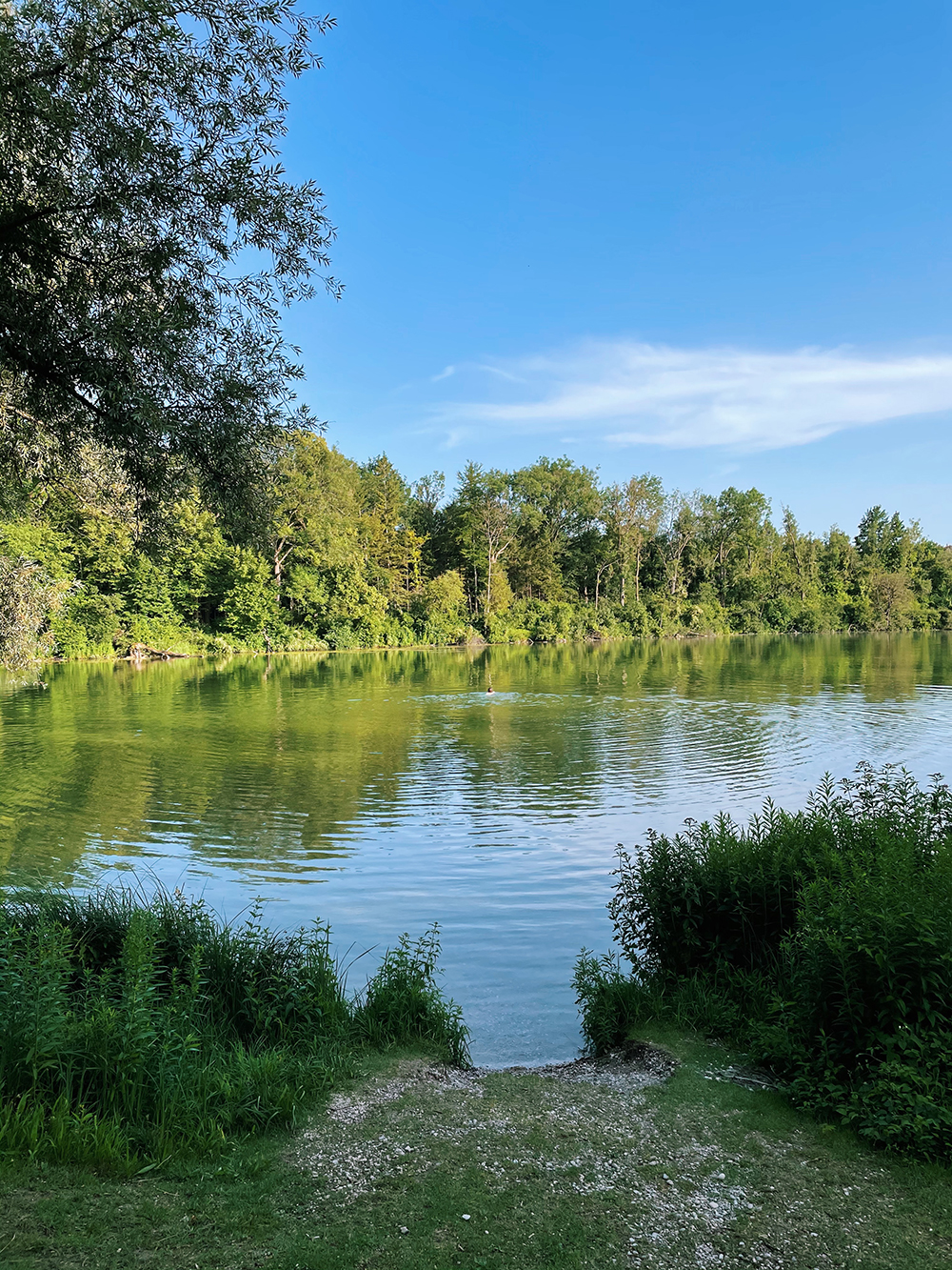 Poschinger Weiher