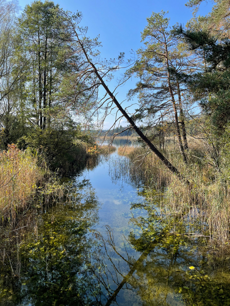 Große Osterseen Rundwanderung