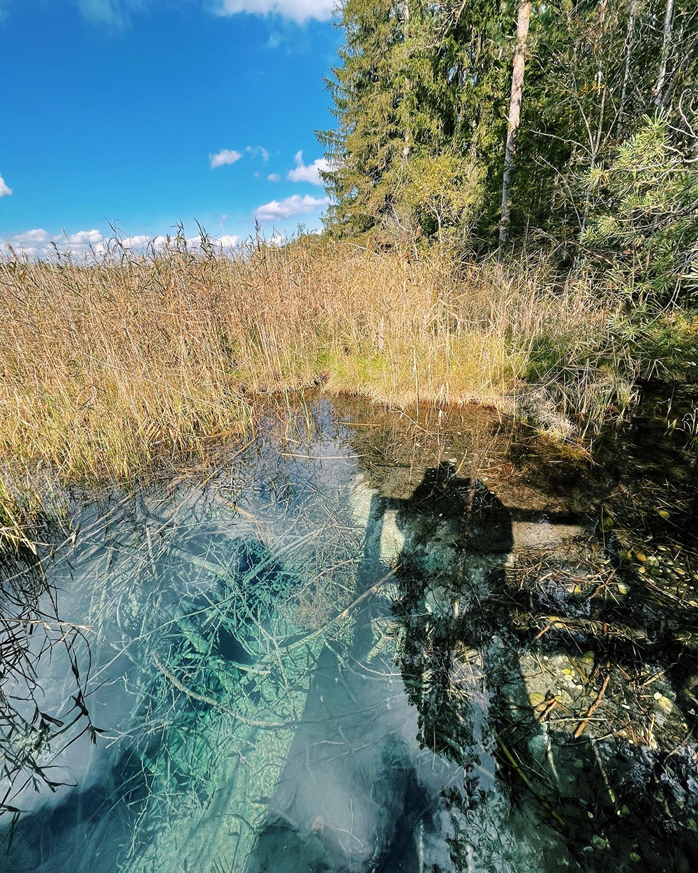 Blaue Gumpe an den Osterseen